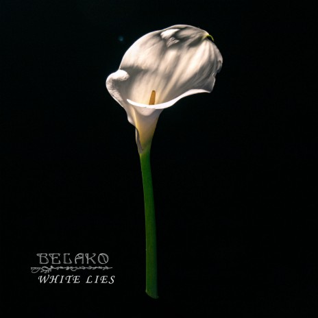 White Lies | Boomplay Music