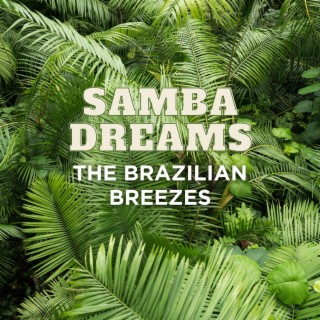 Samba Dreams