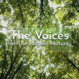 The Voices of The Mother Nature