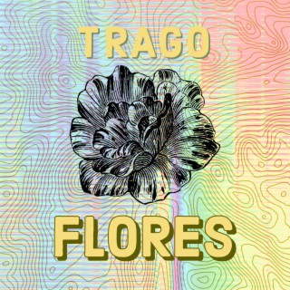Trago Flores lyrics | Boomplay Music