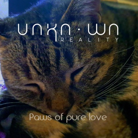 Paws of pure love | Boomplay Music