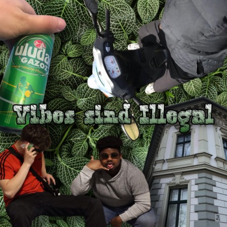 Vibes sind Illegal | Boomplay Music