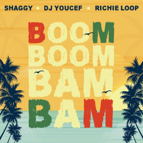 Boom Boom Bam Bam ft. Shaggy & Richie Loop | Boomplay Music