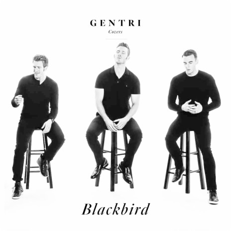 Blackbird | Boomplay Music