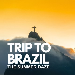 Trip To Brazil