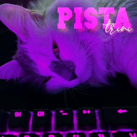 PISTA | Boomplay Music