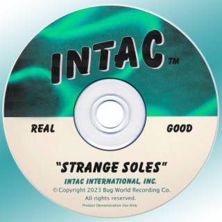 Strange Soles (Single Edit) lyrics | Boomplay Music