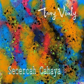 Tony Vialy