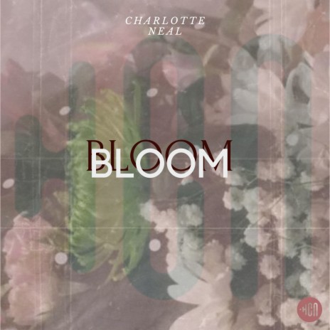 Bloom | Boomplay Music