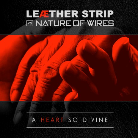 A Heart So Divine ft. Leaether Strip | Boomplay Music