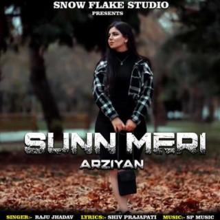 Sunn Meri Arziyan