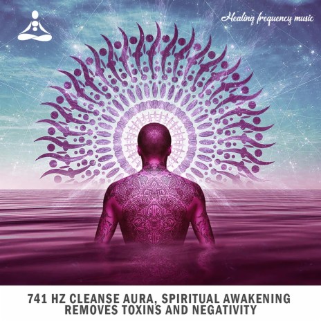 741 Hz Cleanse Aura Spiritual Awakening Removes Toxins and Negativity, Pt. 13 | Boomplay Music