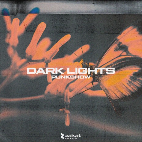 Dark Lights | Boomplay Music