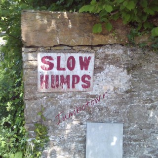 Slow Humps