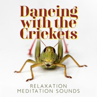 Dancing with the Crickets: Amazing Music with Sounds at Night Cricket, Sleep and Relaxation Meditation Sounds