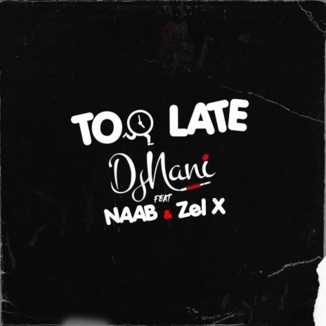 Too Late ft. Naab & Zel x | Boomplay Music