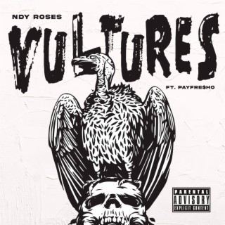 VULTURES ft. PayFre$ho lyrics | Boomplay Music