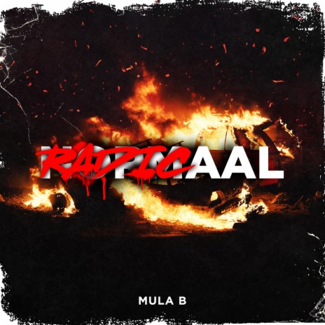 Radicaal | Boomplay Music