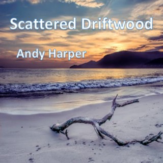 Scattered Driftwood