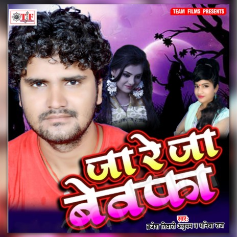 Chhodi Ke Gailu Jab Se Hamke | Boomplay Music