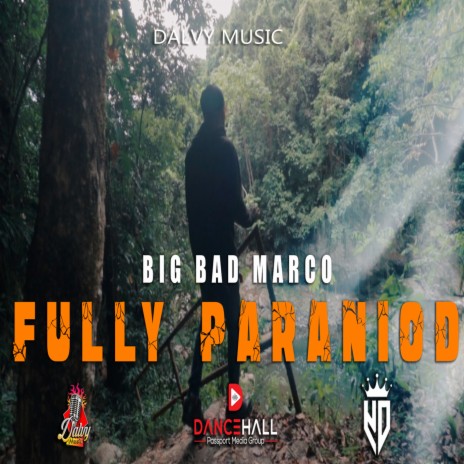 Fully Paranoid | Boomplay Music