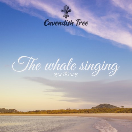 The Whale Singing