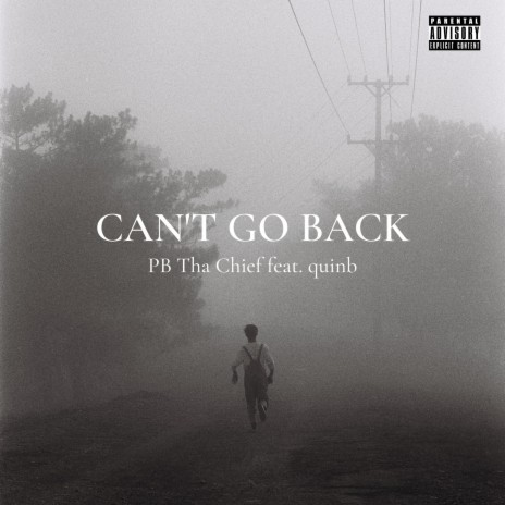 Cant go back (feat. quinb)