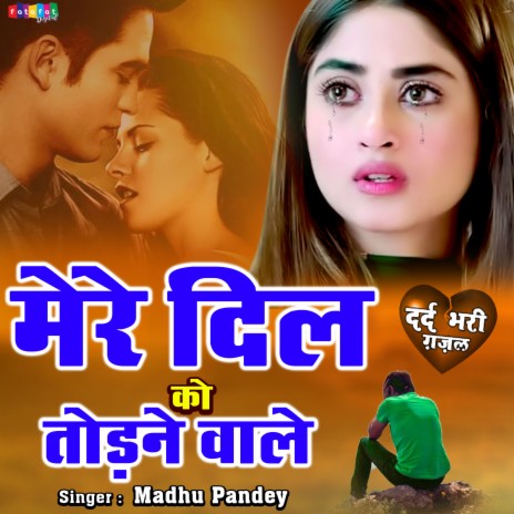 Mere Dil Ko Todane Wale | Boomplay Music