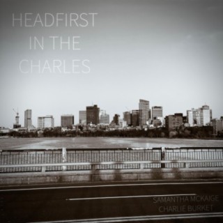 Headfirst In The Charles