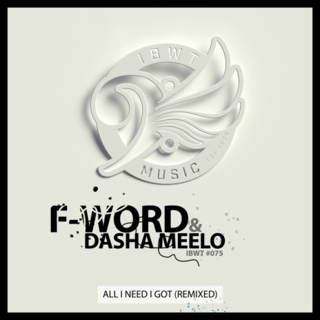 All I Need I Got (Drum & Bass Remix) ft. Dasha Meelo | Boomplay Music
