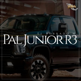 Pal Junior R3 lyrics | Boomplay Music