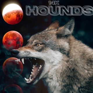 HOUNDS