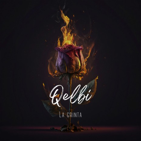 Qelbi | Boomplay Music