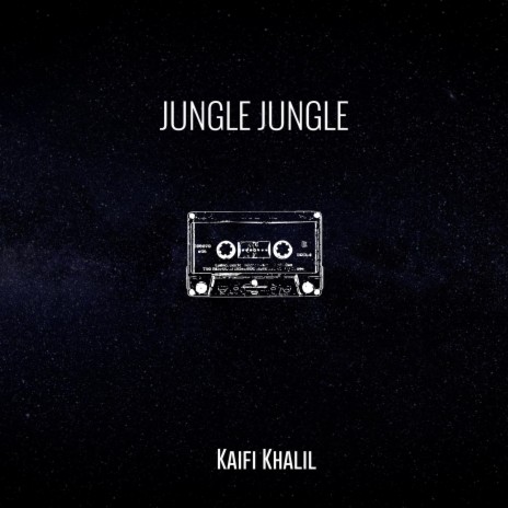 Jungle Jungle | Boomplay Music