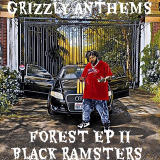 Forest EP: 2 Black Ramsters