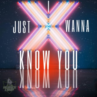I Just Wanna Know You