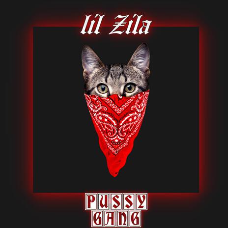 Pussy Gang | Boomplay Music