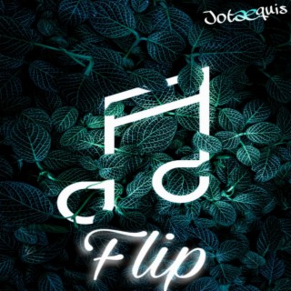 Flip