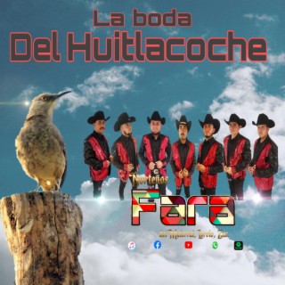 La boda del Huitlacoche