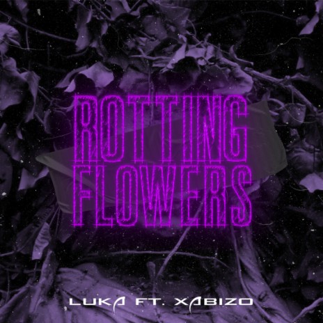 Rotting Flowers ft. Xabizo | Boomplay Music
