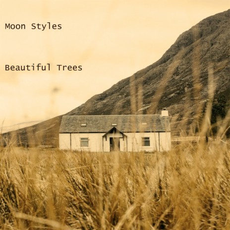 Beautiful Trees | Boomplay Music
