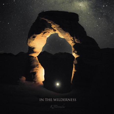 In The Wilderness | Boomplay Music