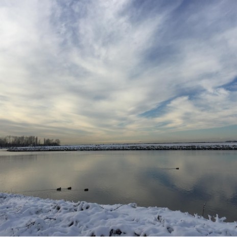 Prairie Abandon Blues