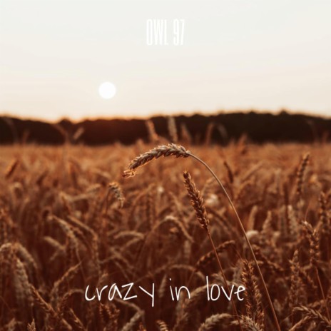 Crazy in love | Boomplay Music
