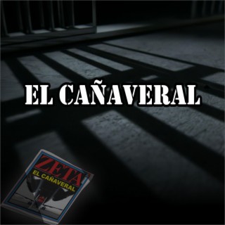 El cañaveral