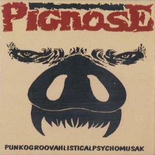 Punkogroovahlisticalpsychomusak