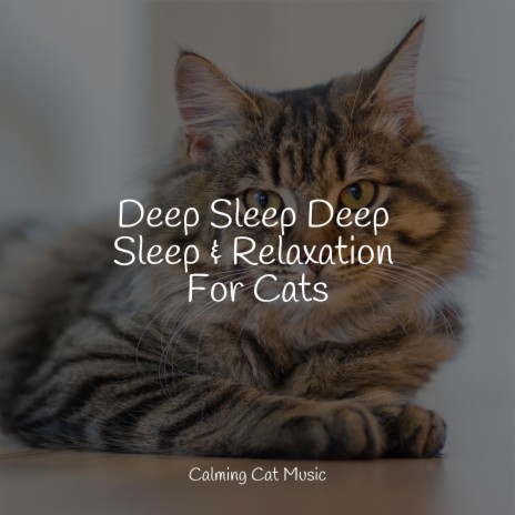 Music for cats 2025 to calm down