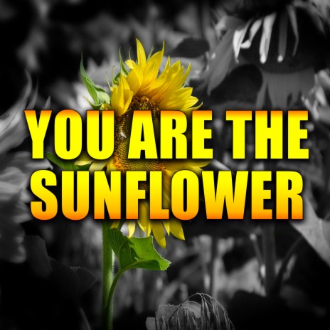 You Are the Sunflower | Boomplay Music