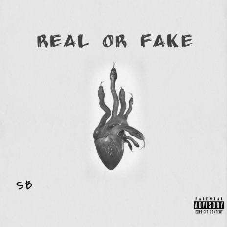 Real or Fake | Boomplay Music