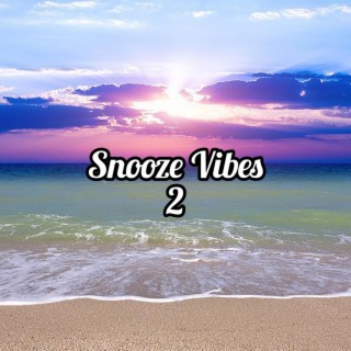 Snooze Vibes 2